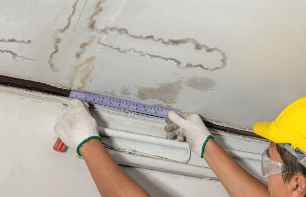 Reliable Mold Remediation contractor in Blue Springs, MS by Water Damage Irwin